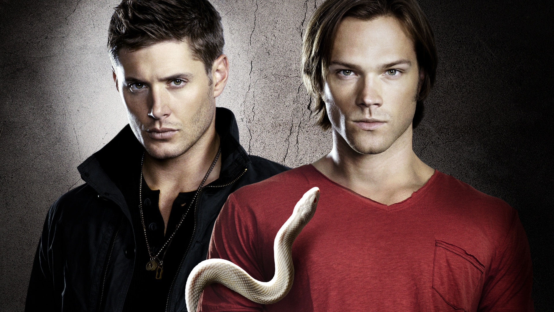 supernatural series artistic licence